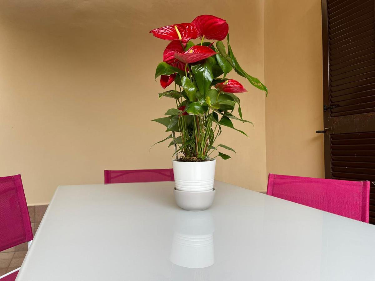 Flowers In Rome Extérieur photo
